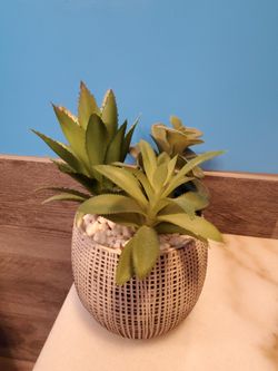 Faux Plant