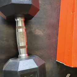 25lb Dumbbell 