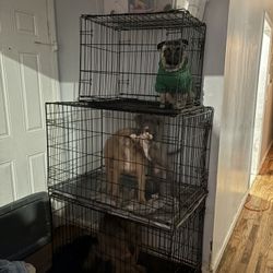 Dog Crate