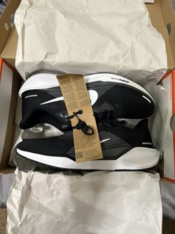 Nike Pegasus Running Shoes New