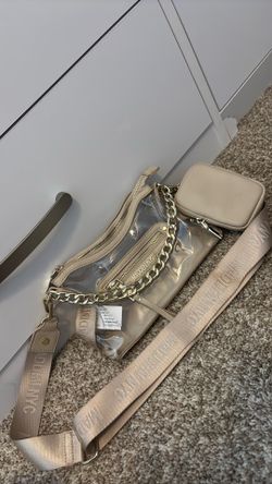 madden nyc clear purse