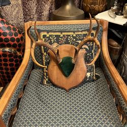 Antique Deer Antlers 