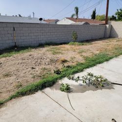 Leveling/ New Grass/ Seeding/ Mulch