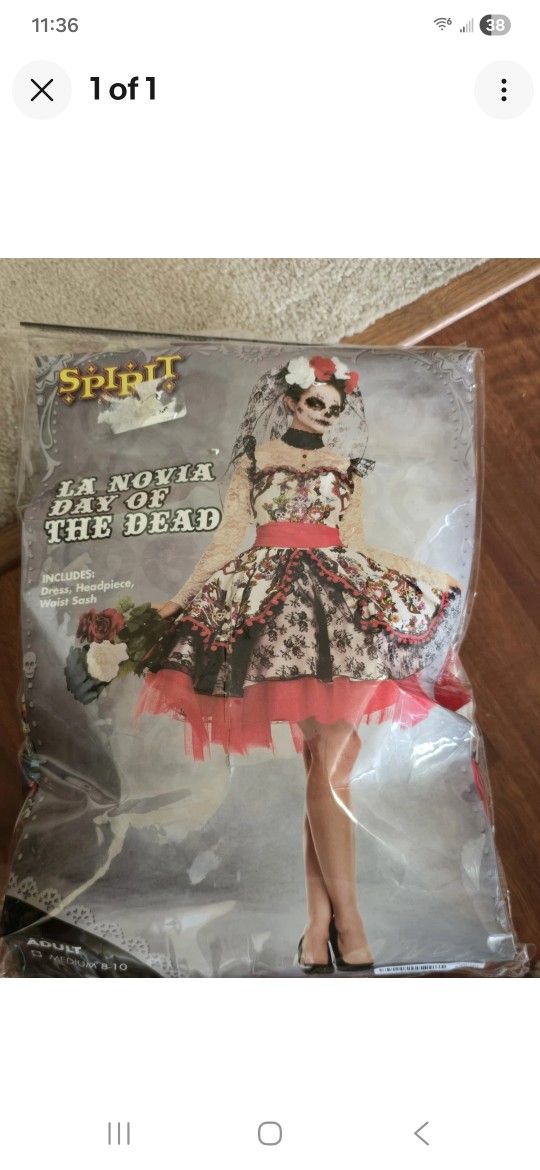 DAY OF THE DEAD HALLOWEEN π COSTUME NEW MEDIUM LADIES