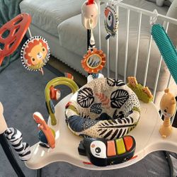 Fisher-Price Baby Bouncer Palm Paradise Jumperoo Activity Center