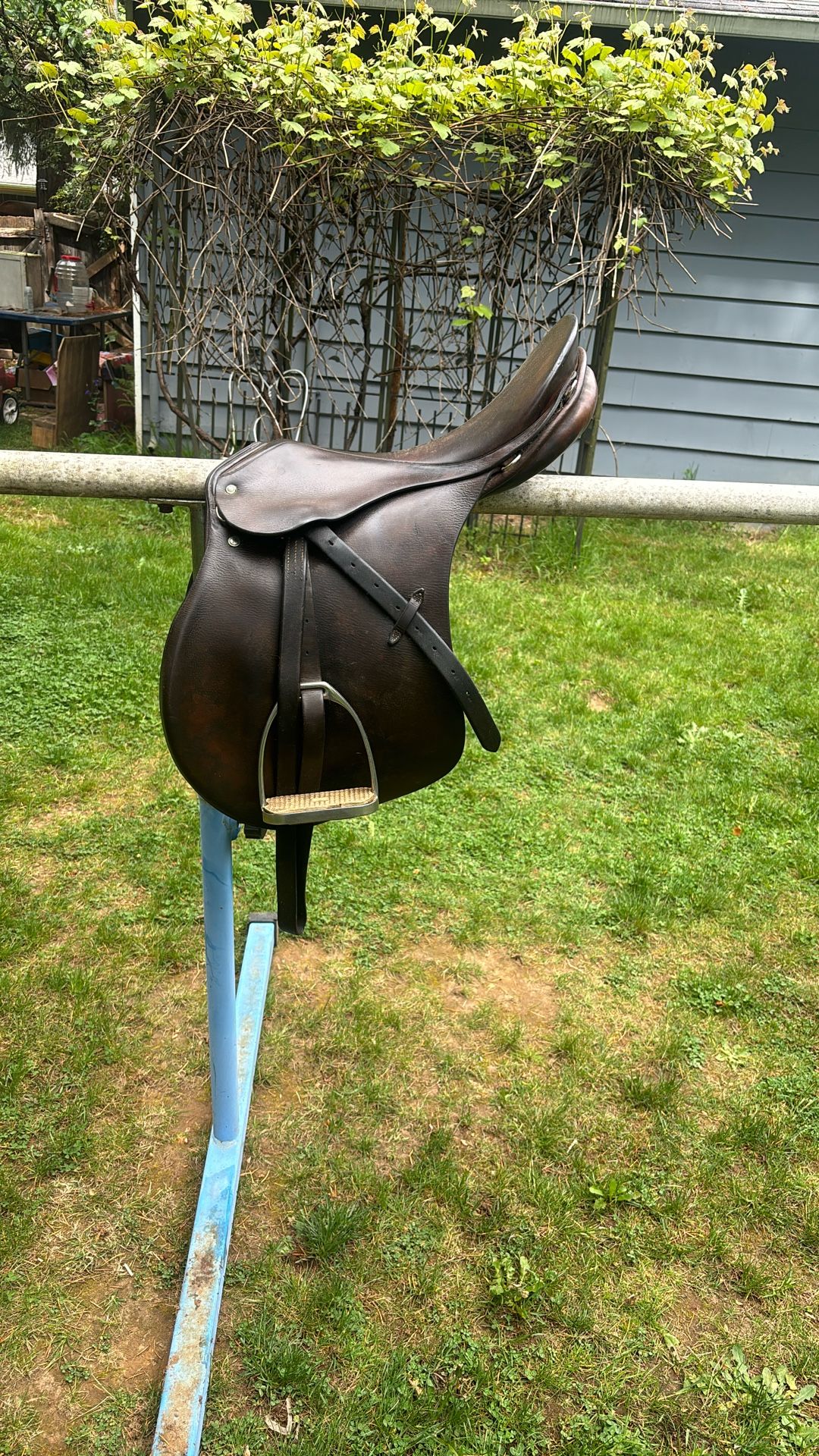 english jumping saddle