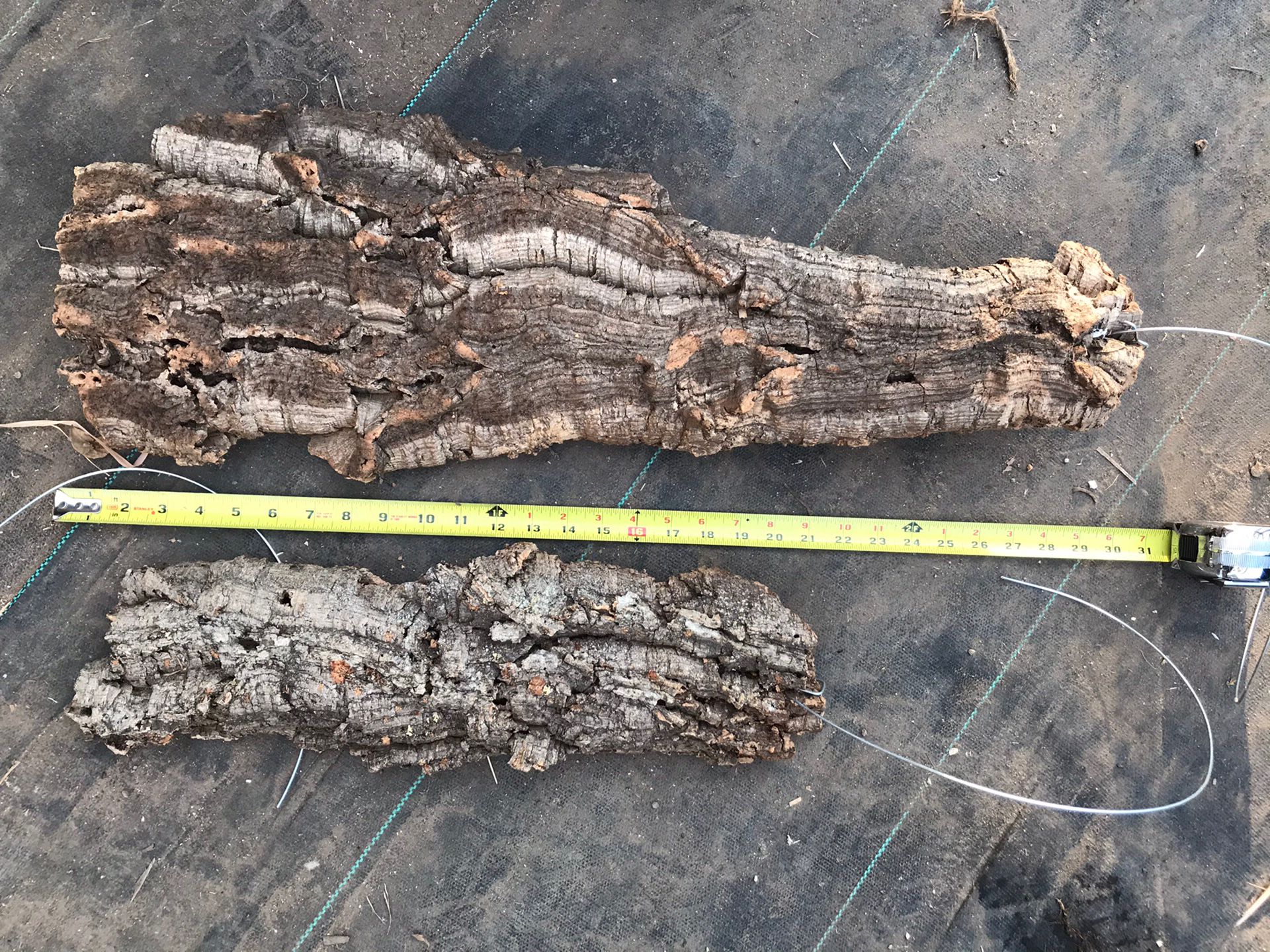 CORK Fresh clean virgin cork bark for Sale in Los Angeles, CA OfferUp