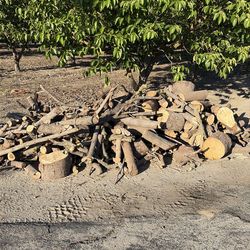 Free firewood in Reedley