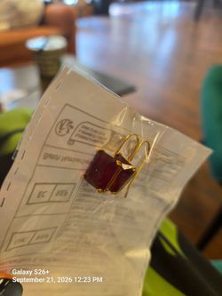 Red Stone Gold Hook Drop Earrings