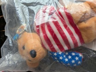Planet Plus Patriotic bear