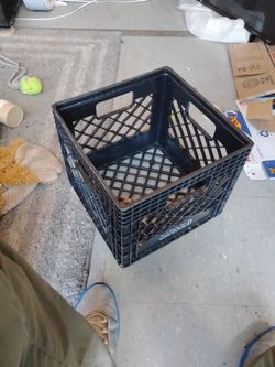 Milk crates 