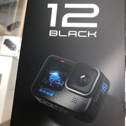 Go Pro 12