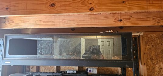 Lizard/snake cage
