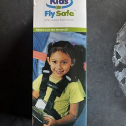 Airplane safety harness