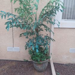 Fake Plant Decoration