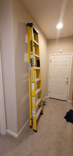 Ladder - New