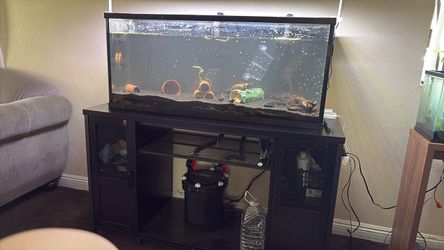 Fish tank 65 gallons