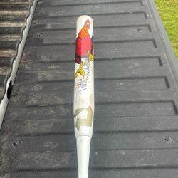 Beer Leauge Softball Bat