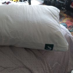Sleep Gram Pillow 