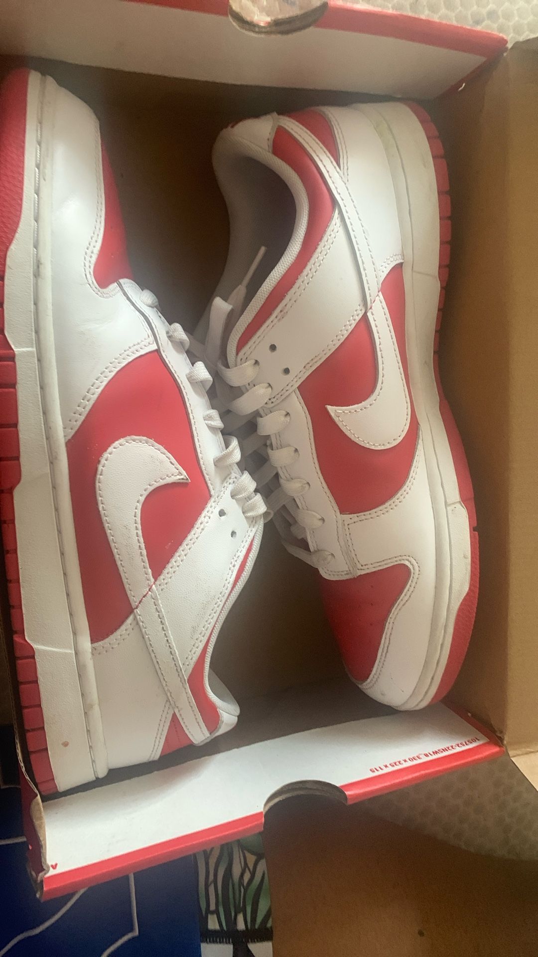 nike dunks size 12