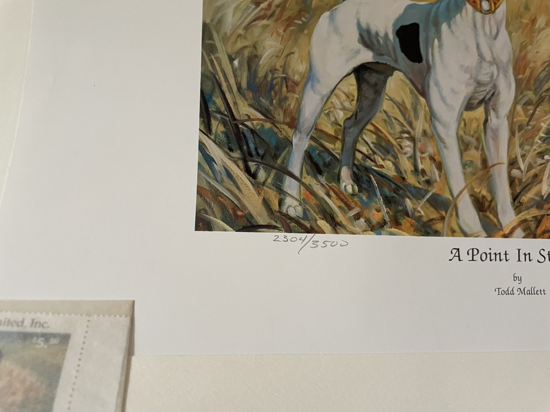 Print Of Dog By Todd Mallet