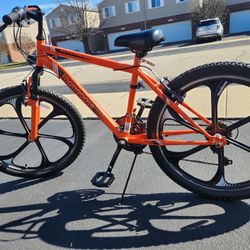 Mongoose Mountain Bike 