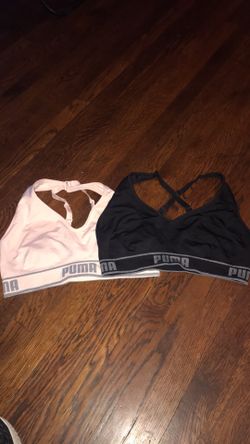 Womens puma sports bras