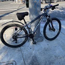 Mountain Specialized 