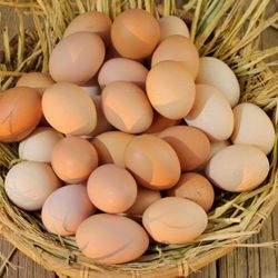 🥚🥚Fresh Chicken Eggs 🥚 🥚