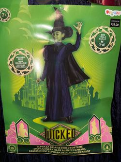 Disguise Wicked Elphaba Deluxe Child Costume Size M (7-8)