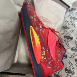 Nike Kd14 Ron English