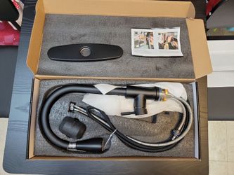 Matte Black Kitchen Faucet with Deck Plate