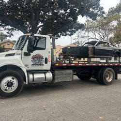 Automotive Transport