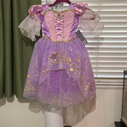 Princess Dress