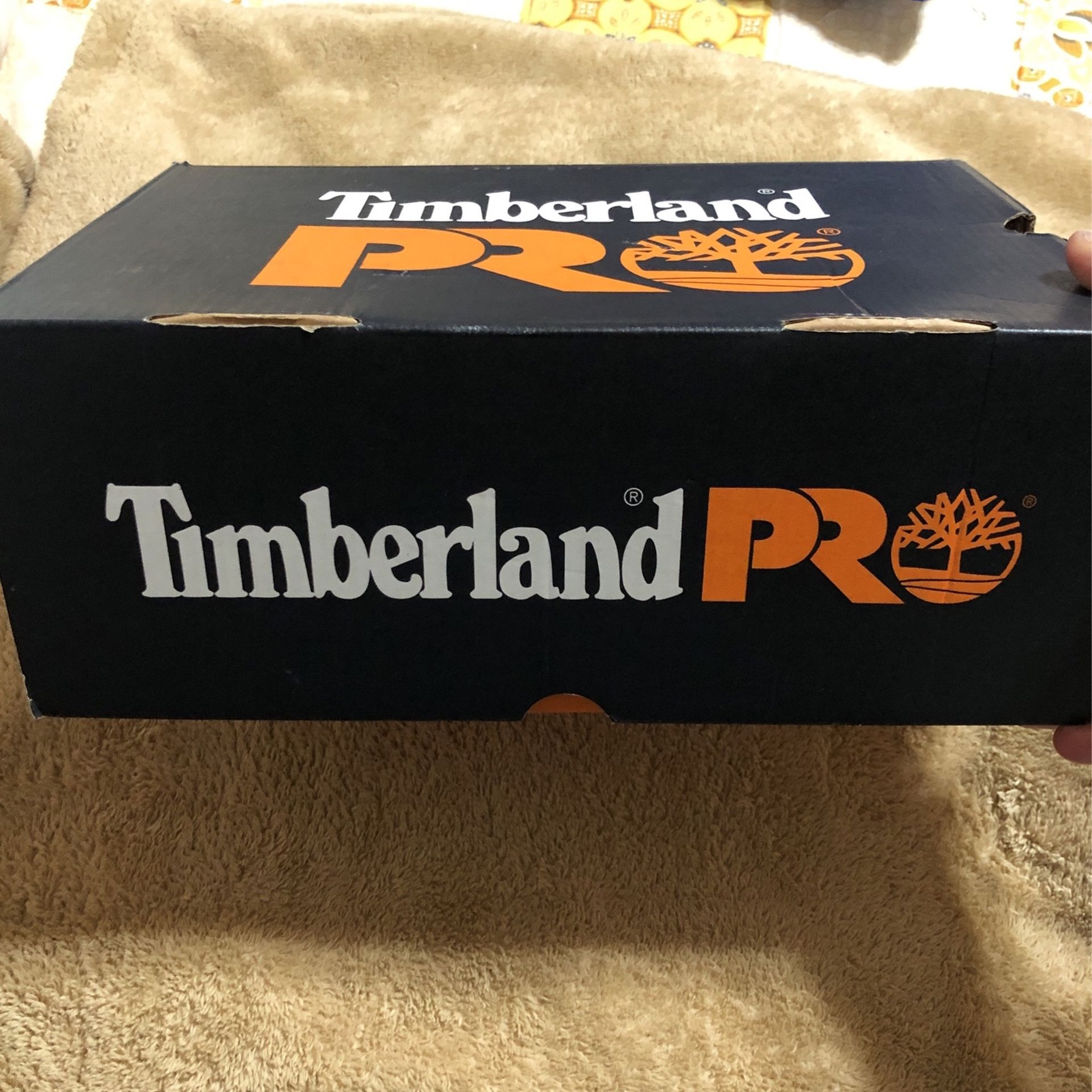 Brand New Woman Sport Steel Toe Shoes