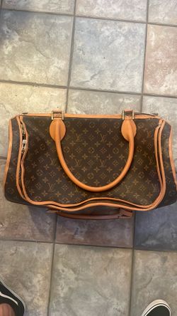 Louis Vuitton Pet Carrier