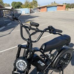 Adult Electric Bike | Fat Tires | In Stock