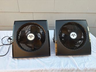Vornado table fan one for $25 or both for $40