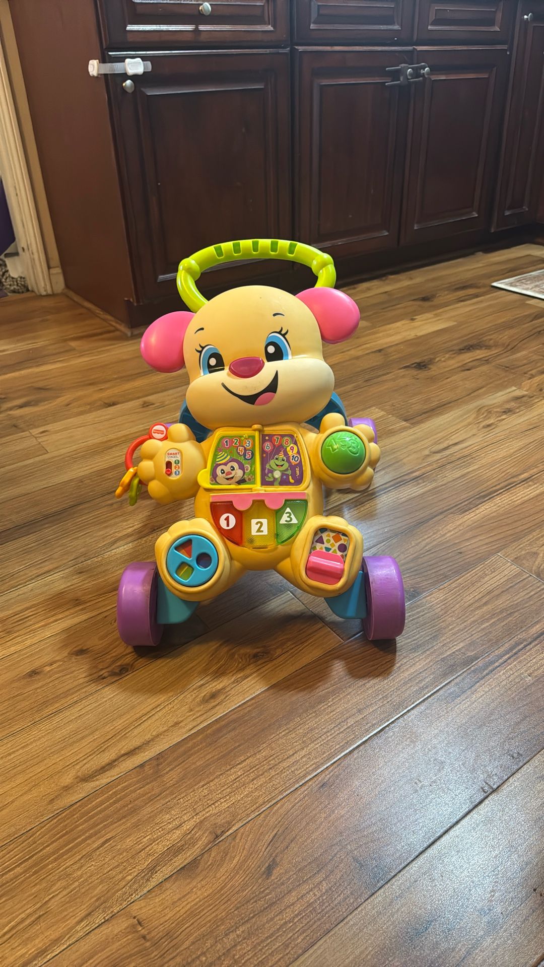 Babies Walking Toy 