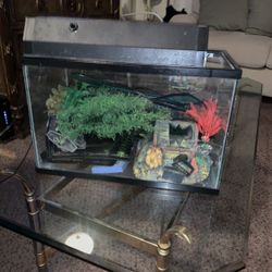 Fish Tank