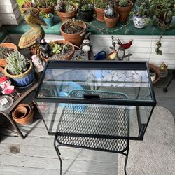 10 Gallon Glass Aquarium 