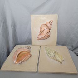 Set of 3 Shell Tile 3D Wall Decor, Good Quality! Has Some Weight To Them , Beautiful Whelk, Ostrich Foot, & Beak Shell!  Measures 12 1/4"H x 10"W