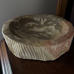 Petrified Wood Bowl 9 1/2” X 2 1/2” Eight Pounds