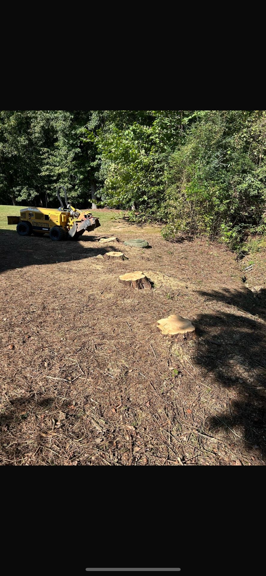 STUMP GRINDING