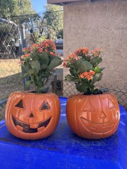 Handmade Pumpkin Concrete Planter