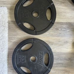 Troy Weight Plates 