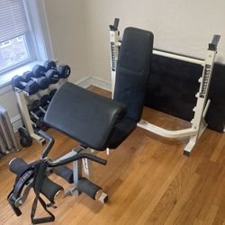 Weight Bench