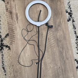 USB Powered LED Ring Light w/ Gooseneck Phone Holder, White/Black