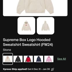 Supreme Box Logo Hooded Sweatshirt Sweatshirt (FW24) 