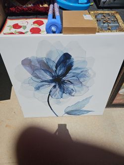 Large picture